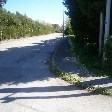 Les Bambous * Orange (Vaucluse)